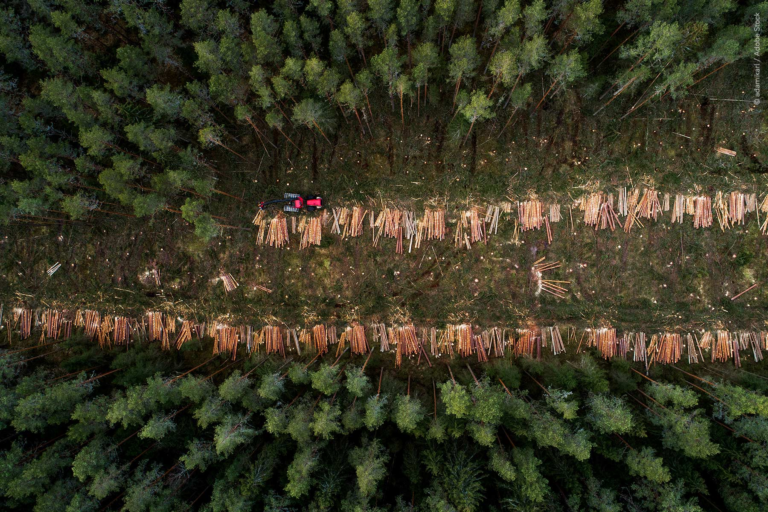 a tractor in a forest